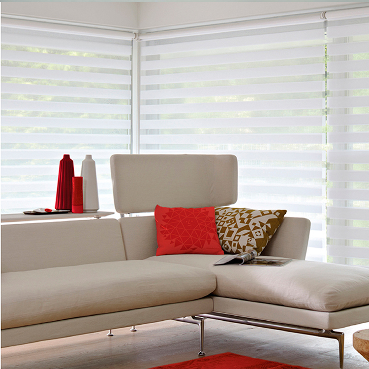 Cortinas Double Vision